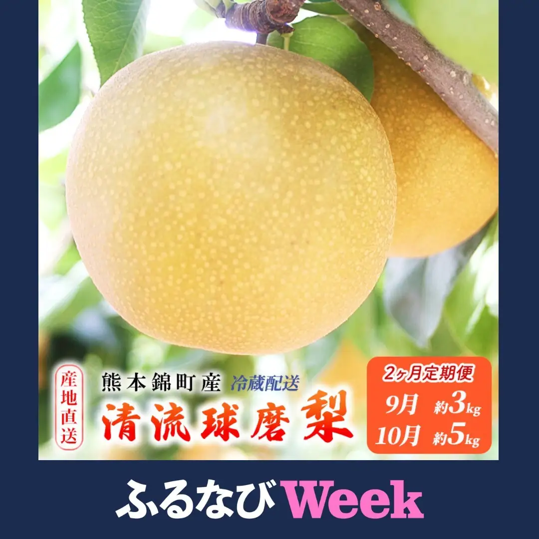 【ふるなびWEEK対象】定期便 2回 先行予約 梨 清流錦 あきづき 9月 3kg 新興 10月 5kg 2026年発送