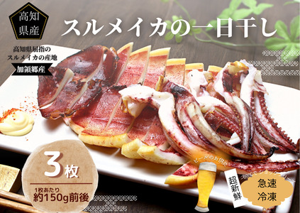 イカの一日干し３枚 スルメイカ 《カネアリ水産》 