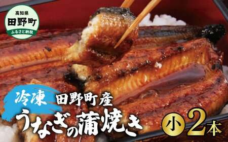 うなぎの蒲焼き（小）2本 タレ付き 山椒付き