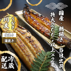 AK004_【冷蔵発送】朝開き国産うなぎ 当日発送２尾（1尾あたり約200～230ｇ） 蒲焼き・ 塩焼き 国産鰻 ウナギ