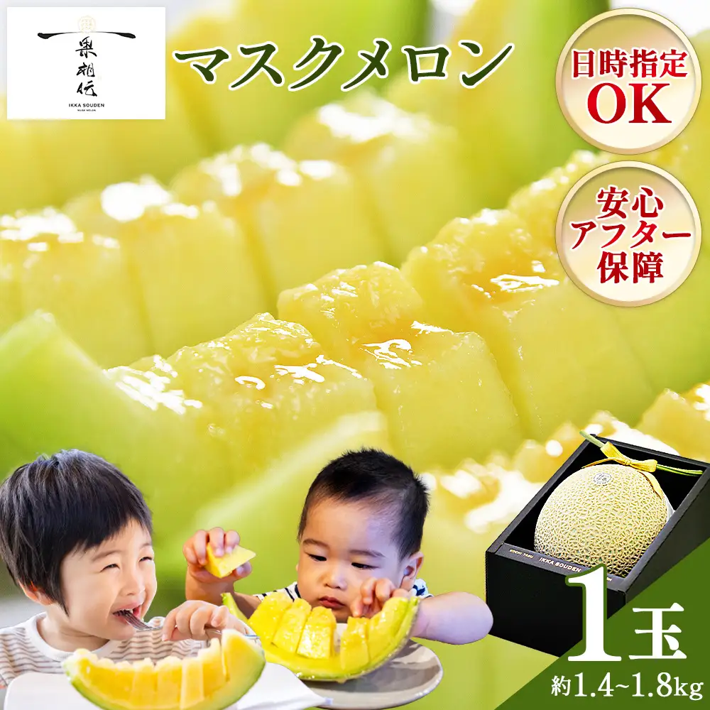 【発送開始】マスクメロン(贈答用) 1玉入 青肉品種 高級メロン！ ／ マスクメロン 果物 フルーツ ギフト 農家直送 tn-0010