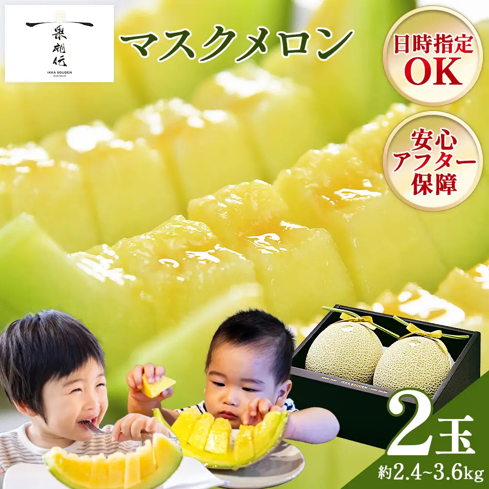 高知県香南市産 マスクメロン 2玉 【 国産メロン マスクメロン メロン メロン ハウスメロン 甘いメロン 】 tn-0012