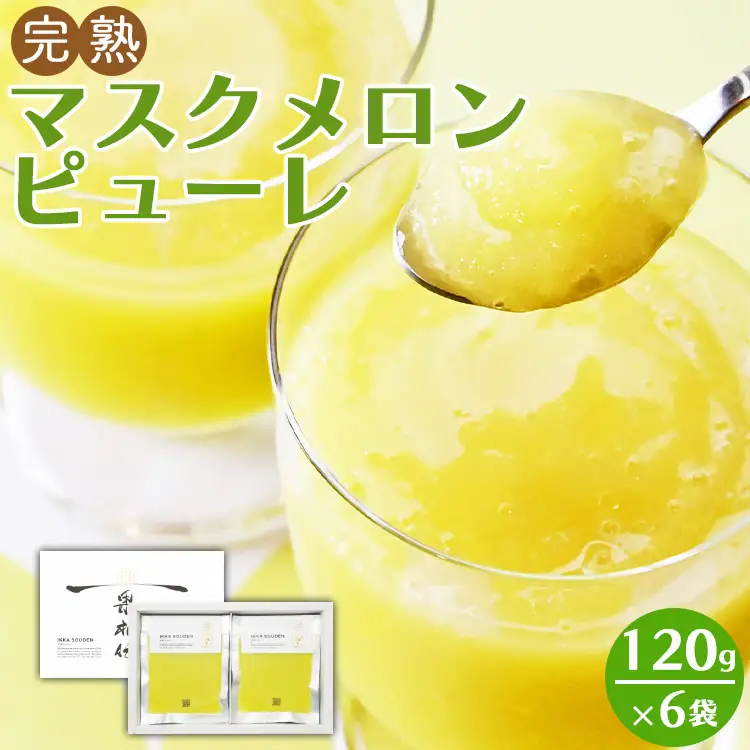メロンピューレ 120g×6袋 ピューレ tn-0007