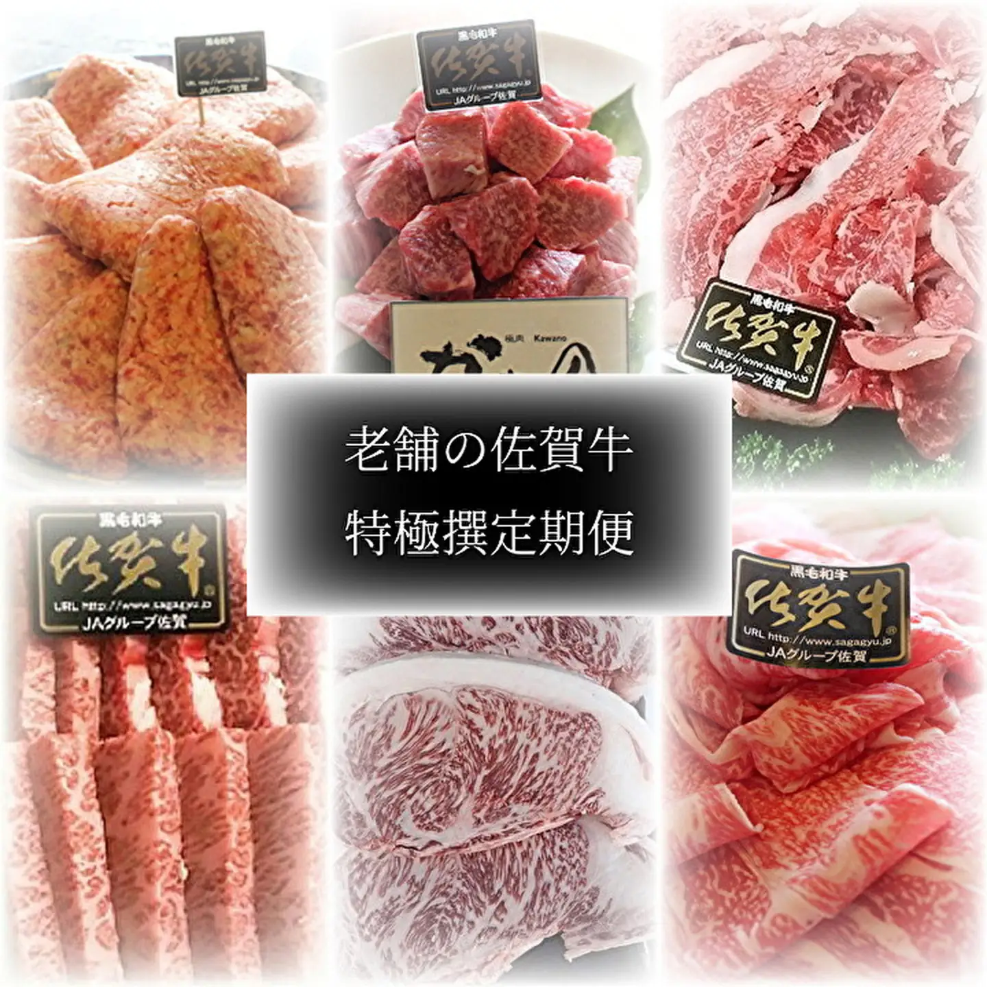 【6回定期便】老舗の佐賀牛 極撰定期便 奇数月配送 全6回 定期便 _f-30