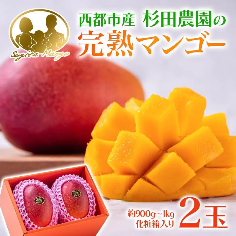 先行予約【マンゴー専門 杉田農園】西都市産完熟マンゴー2玉　計900g～1kg 化粧箱入 生産者直送 2026年発送＜38-2a＞