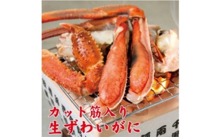 【ご家庭用】カット筋入　生ずわいがに　約1kg【uot602】