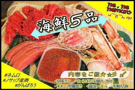 海鮮5品セットA E-59002