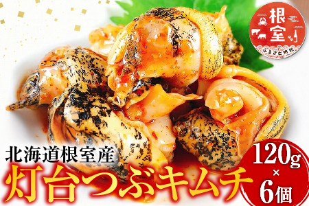【北海道根室産】灯台つぶキムチ120g×6個 A-09025