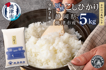 令和７年産 別格 こしひかり 白米 5kg (a11-209)