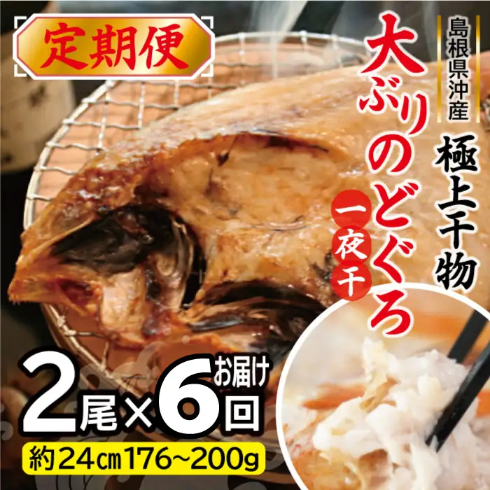 【定期便】島根県沖！大ぶり「のどぐろ一夜干」定期便（6回お届け）【定期便 海鮮 のどぐろ 干物 2尾 6回 合計12尾 のどぐろ一夜干し のどぐろ干物 大ぶり 大 個包装 真空パック 冷凍 セット 島根県 大田市】