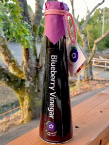 A-41　果樹園の飲むブルーベリー酢 ブルーベリーファクトリー