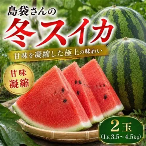 【2027年2月中旬から順次発送】島袋さんの冬スイカ 2玉(1玉3.5～4.5kg)【配送不可地域：離島】【1577666】