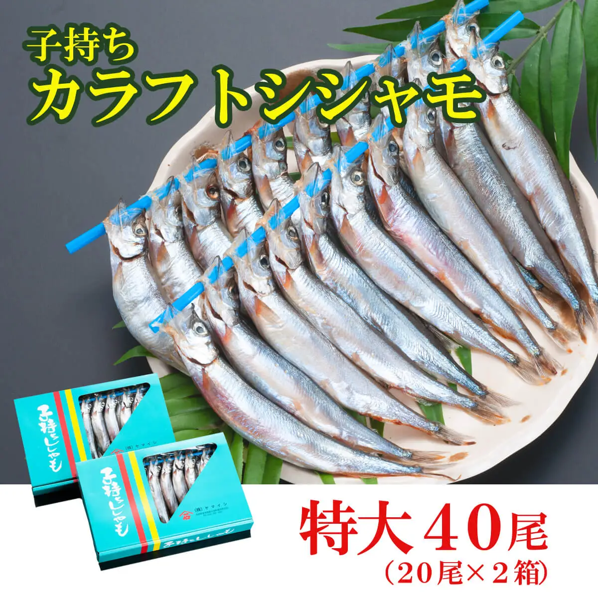 ししゃも 子持ち カラフトシシャモ 特大 40尾（20尾×2箱） 子持ちシシャモ カラフトししゃも 大洗_AV001