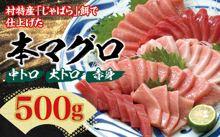 【特別寄付額】 まぐろ マグロ 本マグロ（養殖）トロ＆赤身セット500ｇ 【2月発送分】/ まぐろ マグロ 鮪 本まぐろ 本マグロ クロマグロ 赤身 トロ 中トロ 柵 まぐろ刺身 魚 魚介類 北山村 人気No1【nks110A-2】