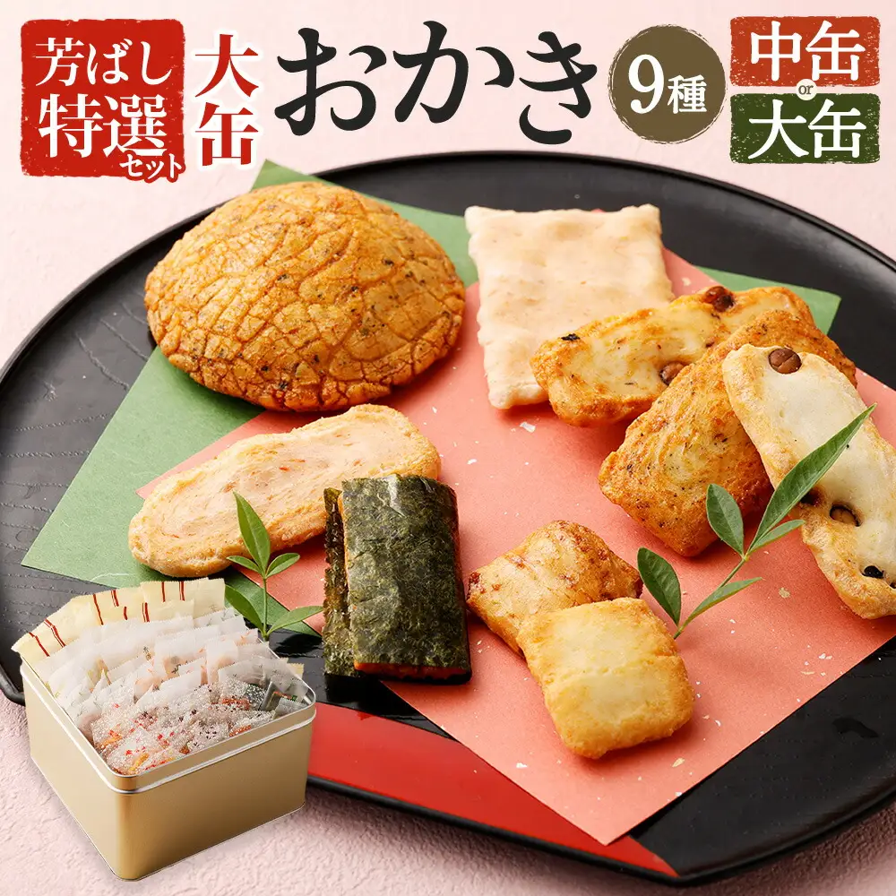 芳ばし 特選セット 中缶 おかき 9種 360g