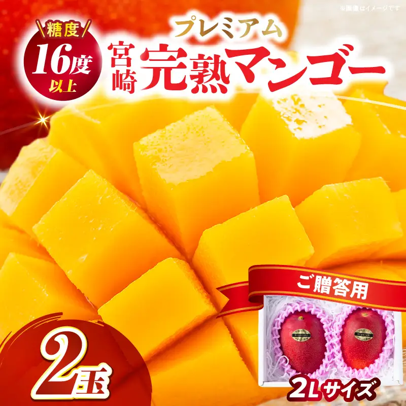 糖度16度以上のプレミアム宮崎完熟マンゴー(2L×2玉入・贈答用) 1箱 ＜ギフト用＞_K005-005