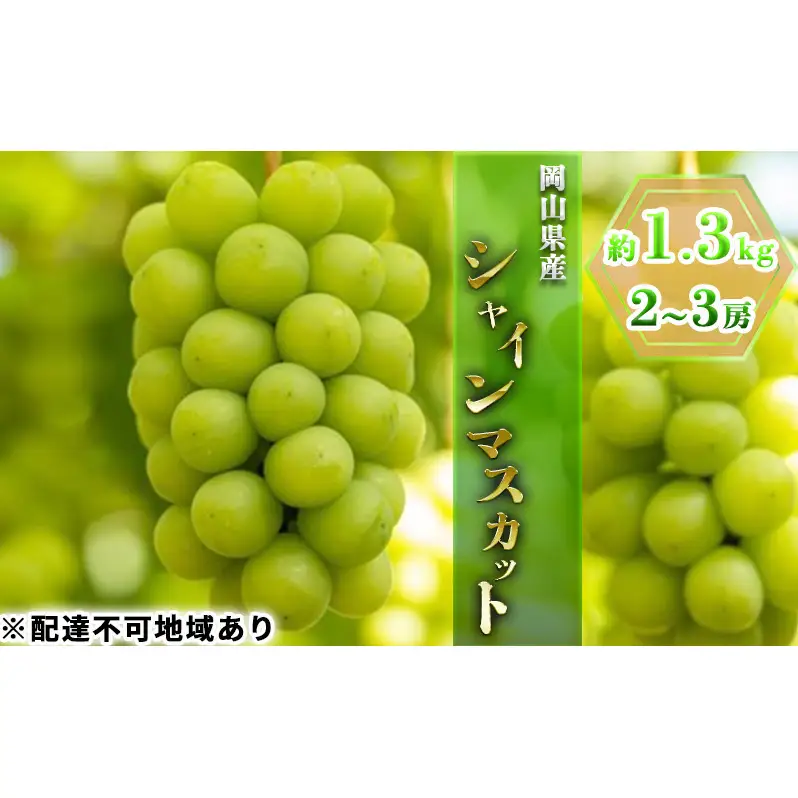 ぶどう 2026年 先行予約 シャイン マスカット 約1.3kg 2～3房 ブドウ 葡萄  岡山県産 国産 フルーツ 果物 ギフト