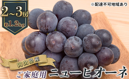 ぶどう 2026年 先行予約 ご家庭用 ニュー ピオーネ 2～3房 合計約1.2kg 岡山県産 ピオーネ