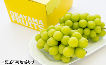 シャインマスカット 2026年 2～3房 合計約1.2kg ご家庭用  ぶどう
