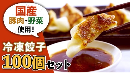 国産豚肉！国産野菜使用！冷凍餃子100個セット 冷凍食品 惣菜 中華惣菜 まとめ買い
