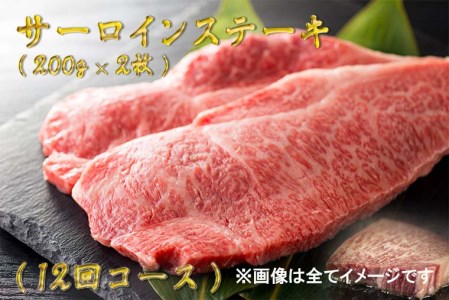 BG180_最高級佐賀牛サーロインステーキ年12回コース（200ｇ×2）