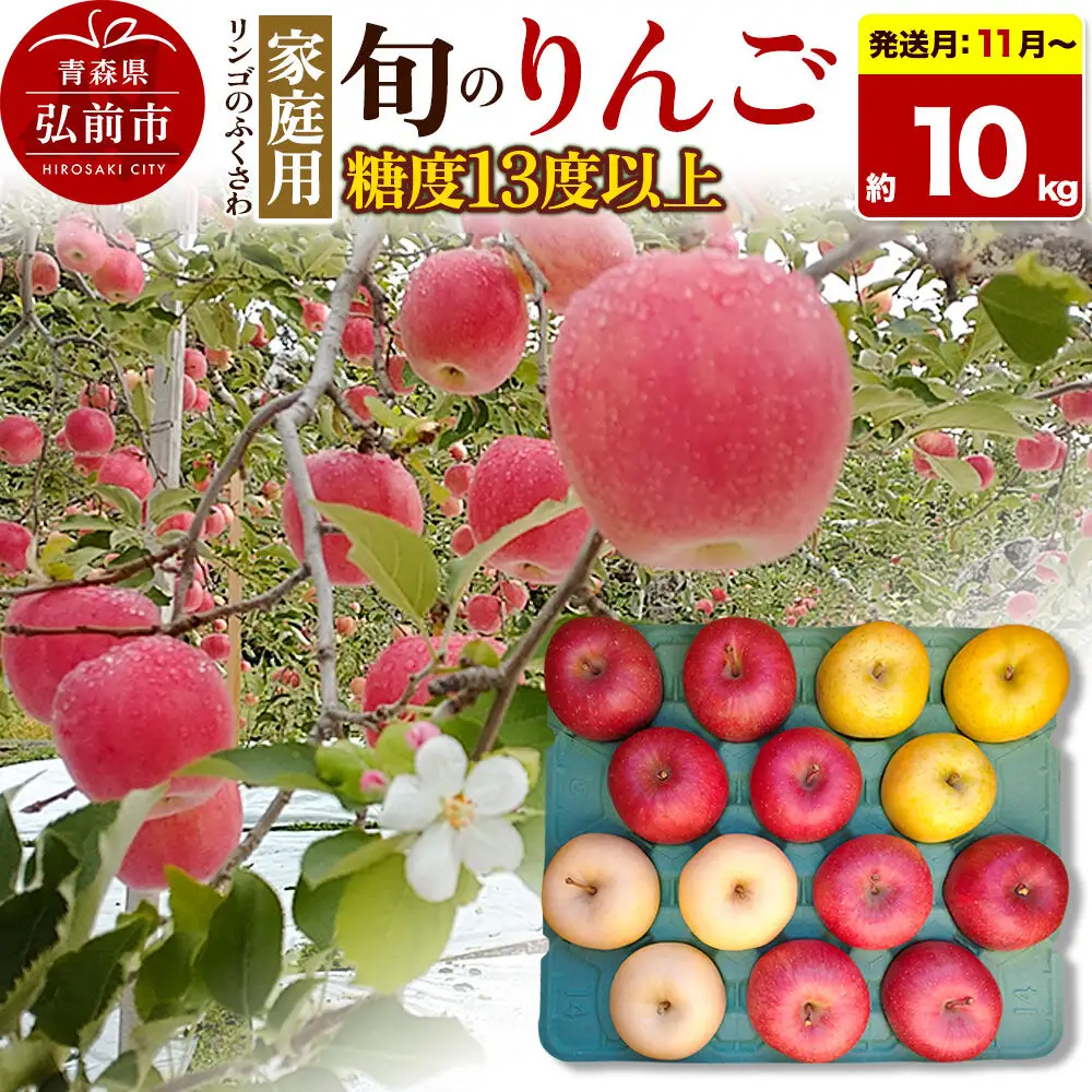 りんご 家庭用 旬のリンゴ詰め合わせ 約10kg【11月～発送】りんご