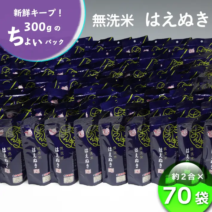 山形県産 ちょいまんま はえぬき無洗米 2合（300g）×70袋セット ブランド米 無洗米 白米 使い切り 手軽