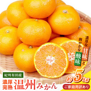 【2026年11月下旬頃より発送】紀州 有田産 濃厚甘熟 温州みかん 5kg【家庭用 訳あり】_G7347
