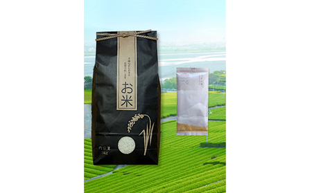 島田茶と島田市産コシヒカリのセット お茶 緑茶 お米 