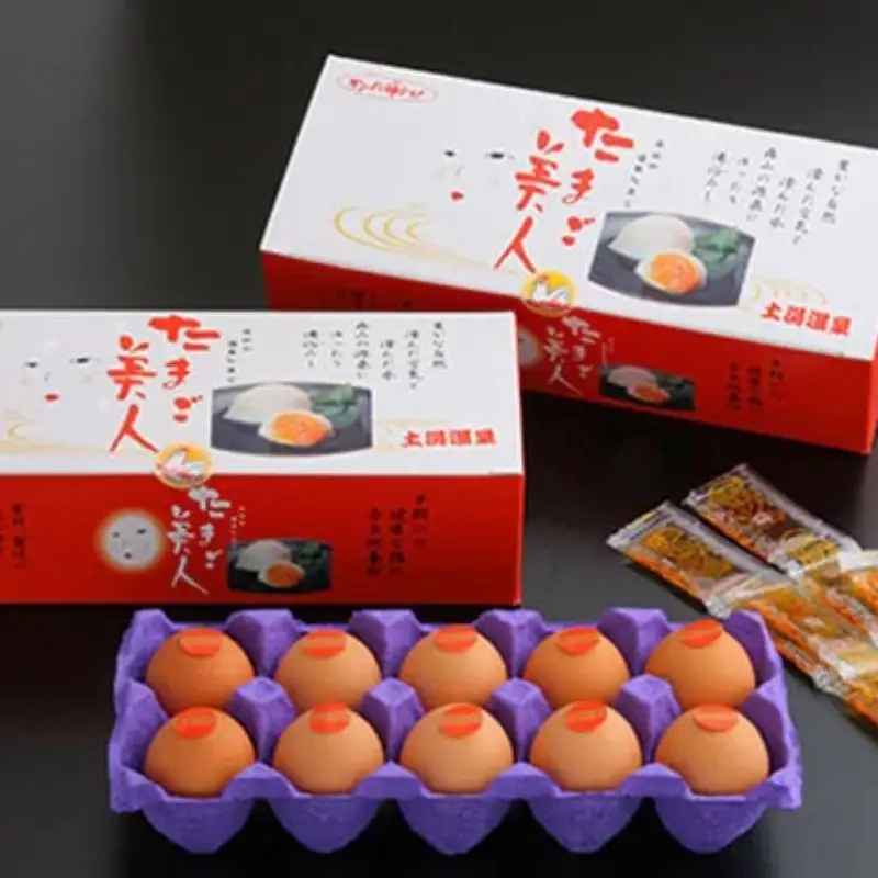 No.0980 森山の温泉たまご　たまご美人赤玉10個入り×6箱セット