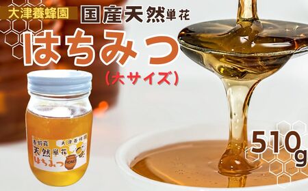 大津養蜂園の天然はちみつ（大サイズ）510g　/ 国産 大津養蜂園 秦野市内の畑や野山 蜜蜂 天然はちみつ 花の香 芳純 味わい 天然単花蜂蜜 ８種類あるはちみつ中セレクトした1種類をお届け　012-13