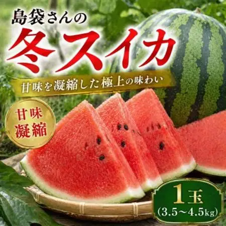 【2027年2月中旬から順次発送】島袋さんの冬スイカ 1玉(3.5～4.5kg)【配送不可地域：離島】【1577664】