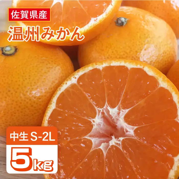 【先行予約・26年10月以降順次発送】 佐賀県産 中生みかん 5kg |みかん ミカン 蜜柑 フルーツ ふるーつ 果物 くだもの| 吉野ヶ里町/リエンサーク [FCC010]