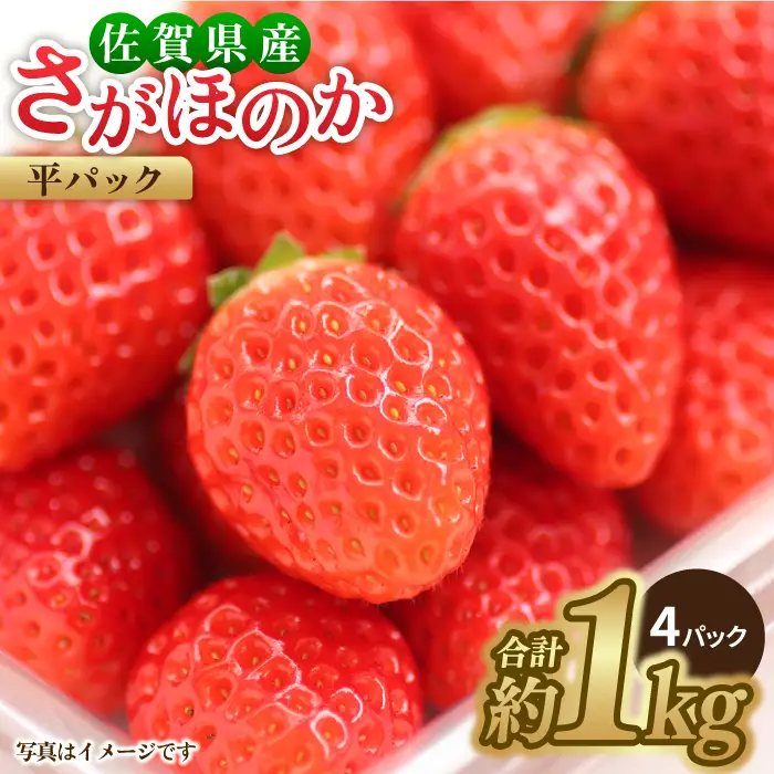 【先行予約・27年1月以降順次発送】さがほのか平パック4P（約1kg） |いちご 佐賀県産 佐賀県 イチゴ パック| 吉野ヶ里町/リエンサーク [FCC002]