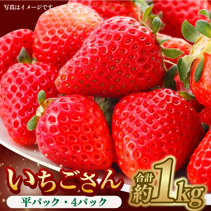 【先行予約・27年1月以降順次発送】いちごさん 平パック×4P 約1kg |いちご イチゴ 佐賀県産 佐賀県 佐賀 パック 吉野ヶ里町/リエンサーク [FCC003]