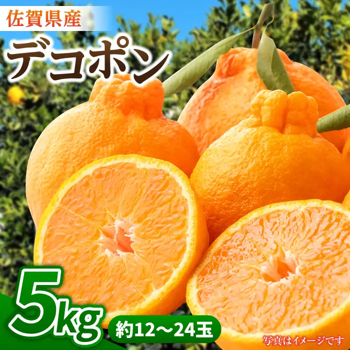 【先行予約・27年1月以降順次発送】佐賀県産 みかん「デコポン」5kg 吉野ヶ里町/リエンサーク [FCC007]