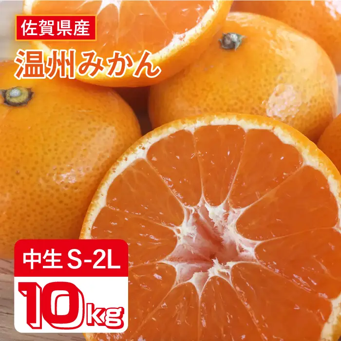 【先行予約・26年10月以降順次発送】佐賀県産 中生みかん 10kg 吉野ヶ里町/リエンサーク [FCC009]