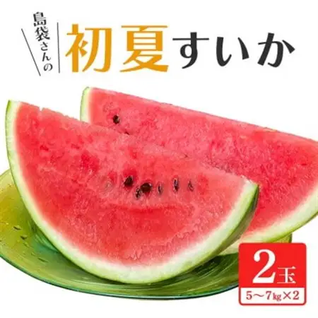 【先行受付・2027年6月上旬から順次】島袋さんの初夏スイカ大玉 2玉(1玉5.0～7.0kg)【配送不可地域：離島】【1577673】