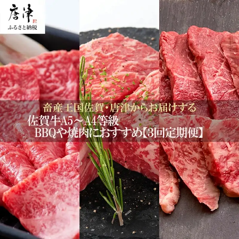 「定期便全3回」 佐賀牛 BBQや焼肉好きな方におすすめ 寄附翌月から発送 6種盛360g モモブロック800g ヒレ300g (合計1.46kg)