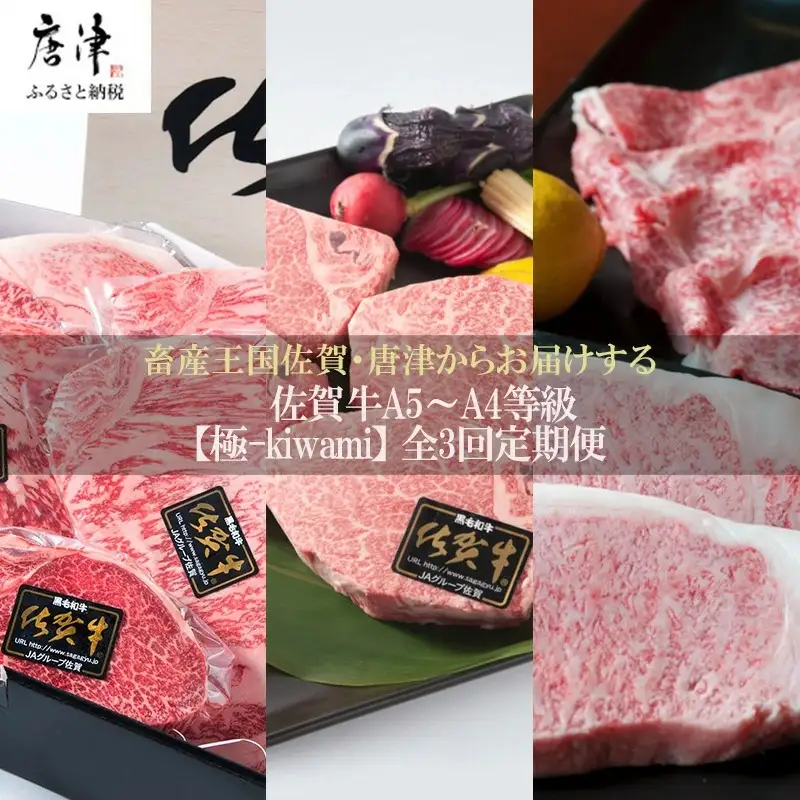 「定期便全3回」 佐賀牛 極-kiwami- 寄附翌月から発送 ステーキ各種(2.35kg) ももスライス(400g)