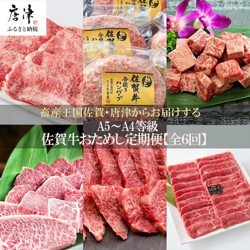 「定期便全6回」 佐賀牛 お試し定期便 寄附翌月から発送 (合計2.84kg)