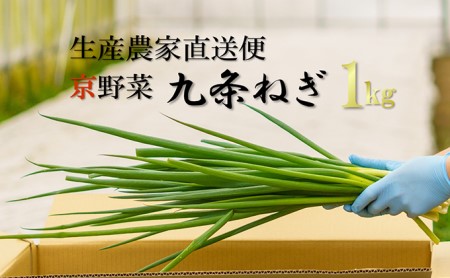 生産農家直送 京野菜・九条ねぎ1kg〈葱 野菜 京都 農家直送