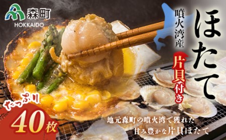 噴火湾産冷凍ほたて片貝4袋（40枚入）のセット＜海鮮問屋　株式会社　瑞宝＞ 森町 ほたて 帆立 ホタテ 海産物 魚貝類 ふるさと納税 北海道 mr1-0141