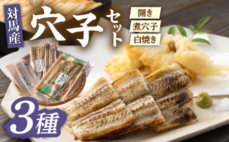 対馬 穴子 セット 500g 煮穴子 白焼き [WAD022]あなご 食べ比べ 白焼き 煮穴子
