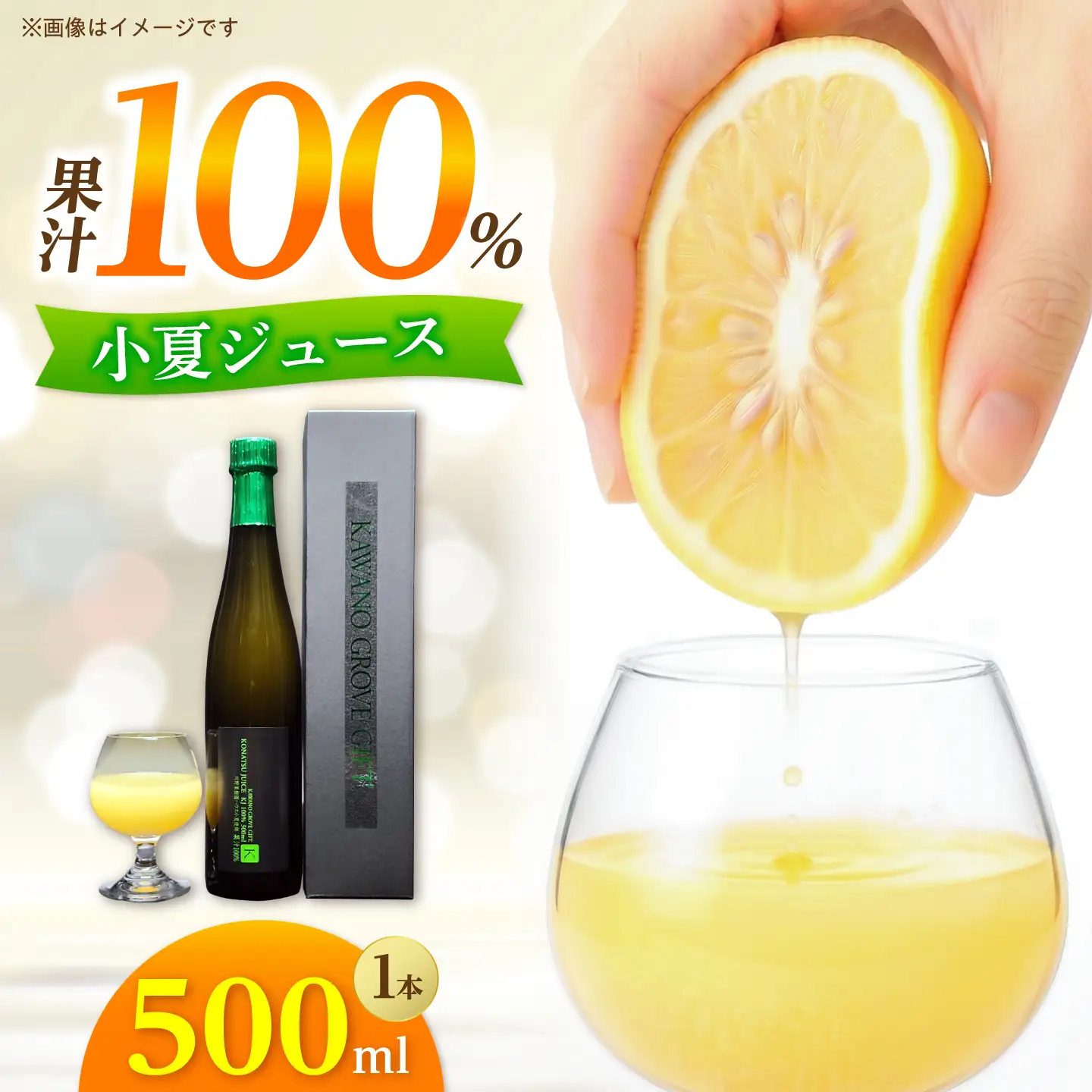 高知県 土佐市産 KONATSU JUICE KJ 100％ 500ml (1本) 高知県 土佐市【川野果樹園】 [BQCB002]