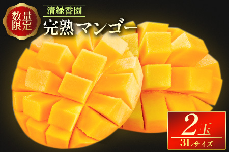 2027年出荷 数量限定 清緑香園 完熟マンゴー 3L×2玉 宮崎県産 果物 フルーツ C233-27