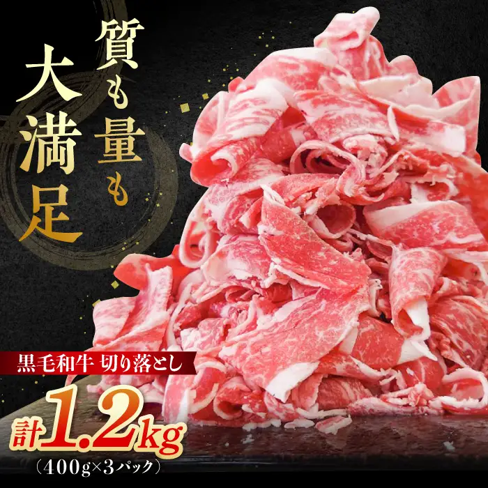 牛肉切り落とし 黒毛和牛 計1.2kg 牛肉切り落とし IAX003