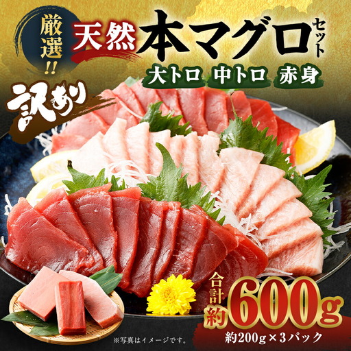 まぐろ 3種類 600g まぐろ FN-Limited-PR