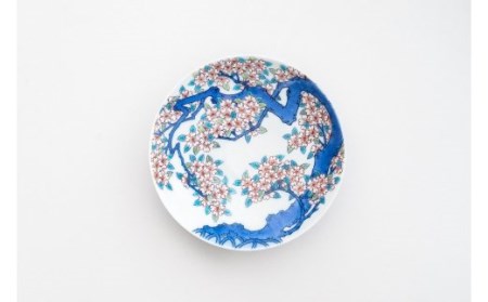 【伊万里焼】色鍋島桜樹文5寸高台皿 023-H626