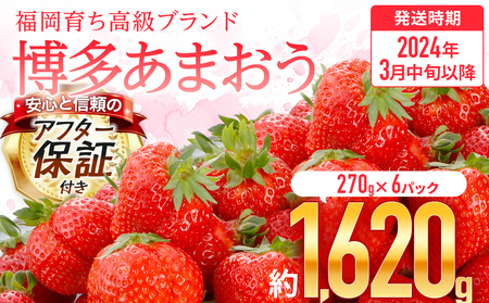 【アフター保証】福岡県産 JAグループ あまおういちご 1620g（約270g×6パック）【2024年3月中旬以降発送開始】 AG009-1